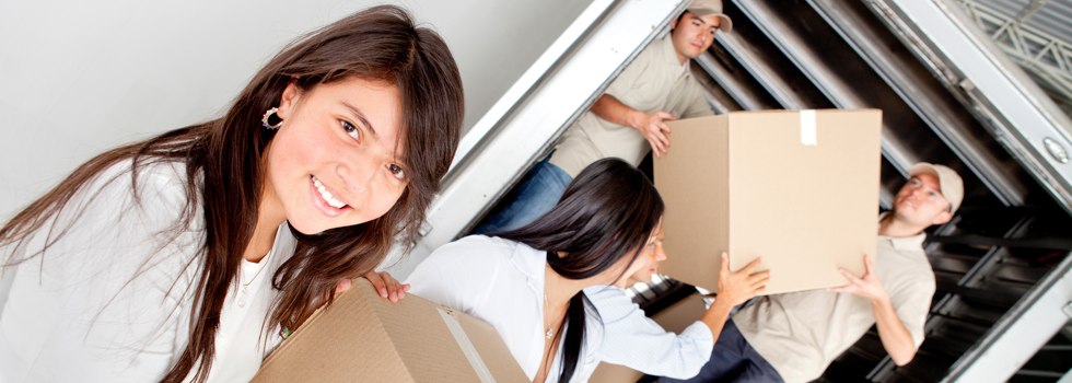 Professional Removalists Tralee